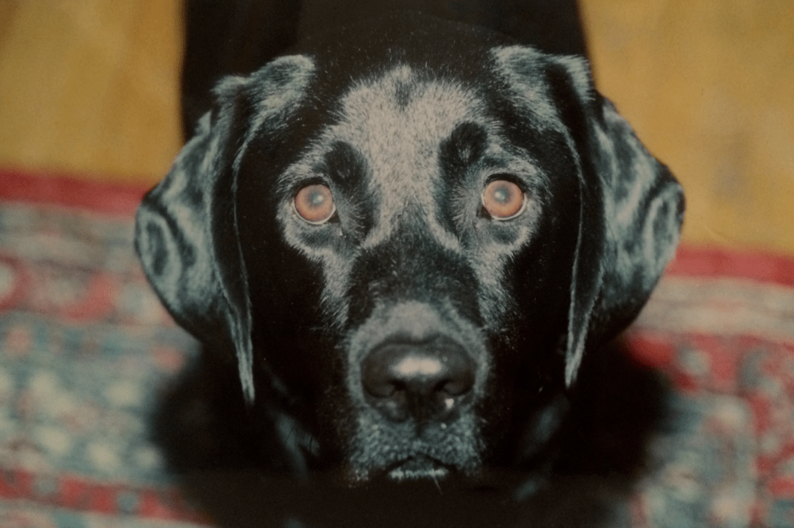 A Lesson Learned from and Ancient&nbsp;Bond